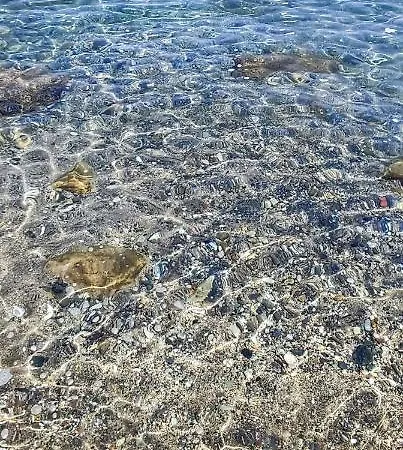 Casa Della Spiaggetta Lejlighed *